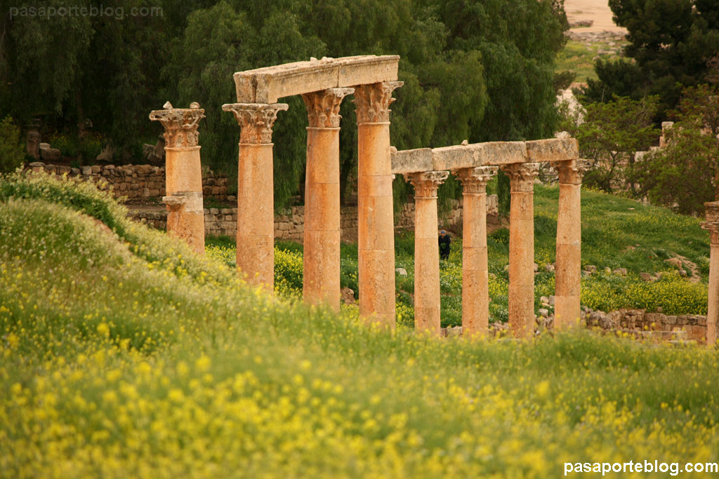 Viaje Jordania Jerash Columnas romanas