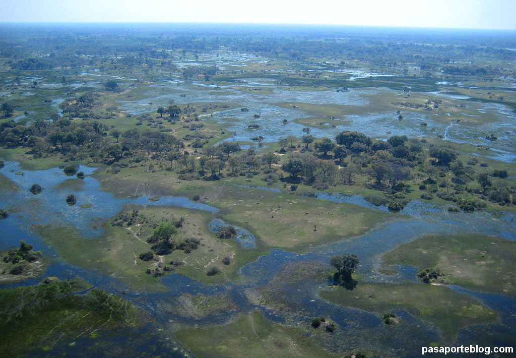 Delta del Okavango, Botsbuana, África