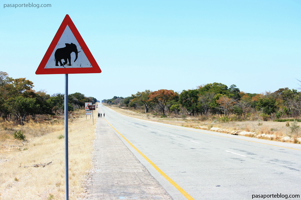 Peligro elefantes en la carretera, señales de tráfico en Namibia